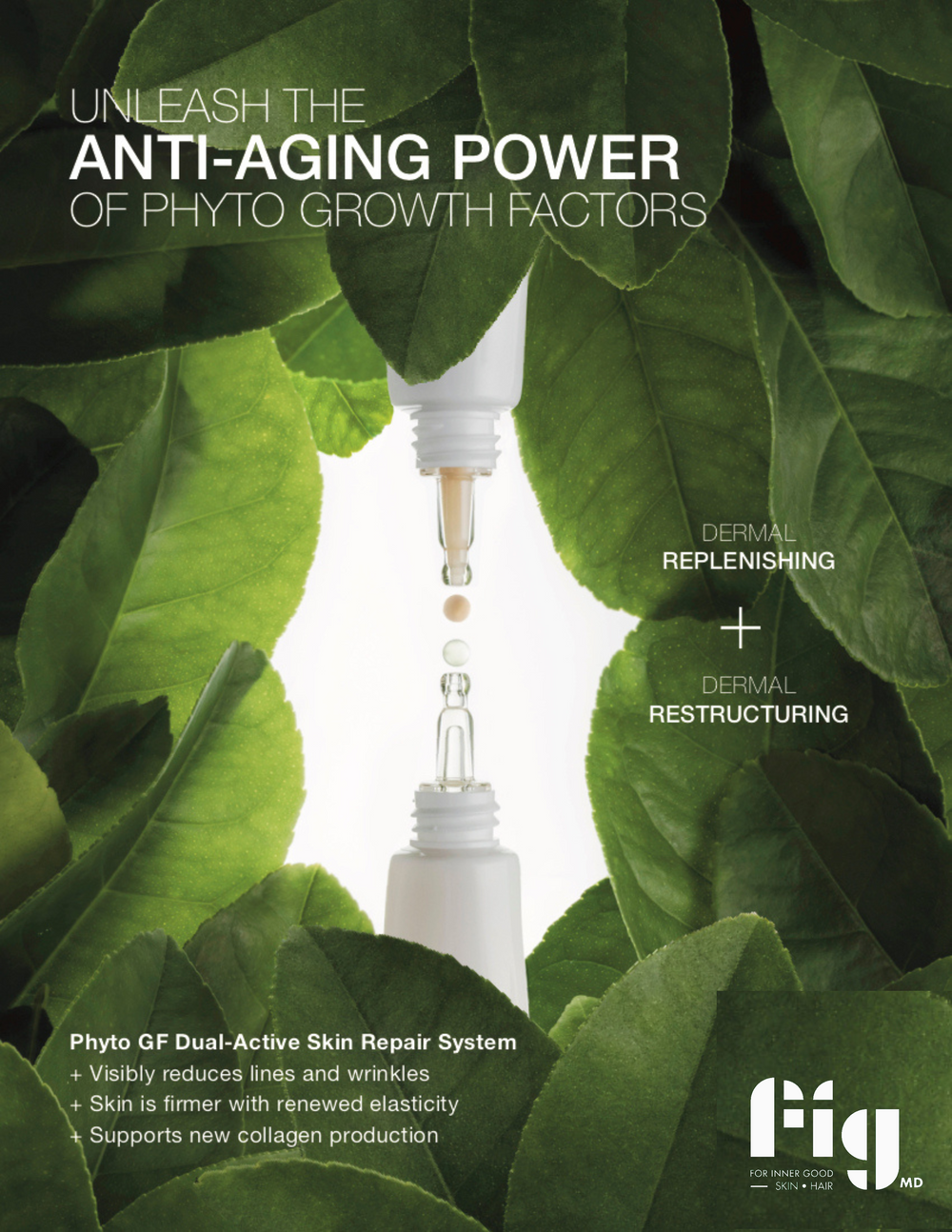 Fig MD Growth Factor Duo